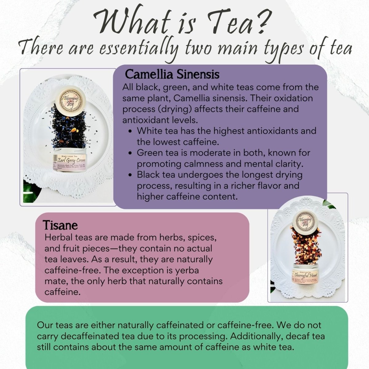 Golden Harvest Gunpowder Green Loose Leaf Tea - Blooming With Joy Tea Co.