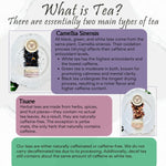 Golden Harvest Gunpowder Green Loose Leaf Tea - Blooming With Joy Tea Co.