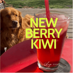 Berry Kiwi Spritz - Loose Herbal Tea Blend - Limited Quantity - Online Only - Blooming With Joy Tea Co.