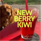 Berry Kiwi Spritz - Loose Herbal Tea Blend - Limited Quantity - Online Only - Blooming With Joy Tea Co.