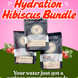 Hibiscus Hydration Bundle | Cold Brew Loose Leaf Tea | 3 Flavors