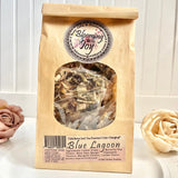 Blue Lagoon 6 Two Quart Sized Pouches