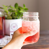 Strawberry Shortcake 6 Two Quart Sized Pouches